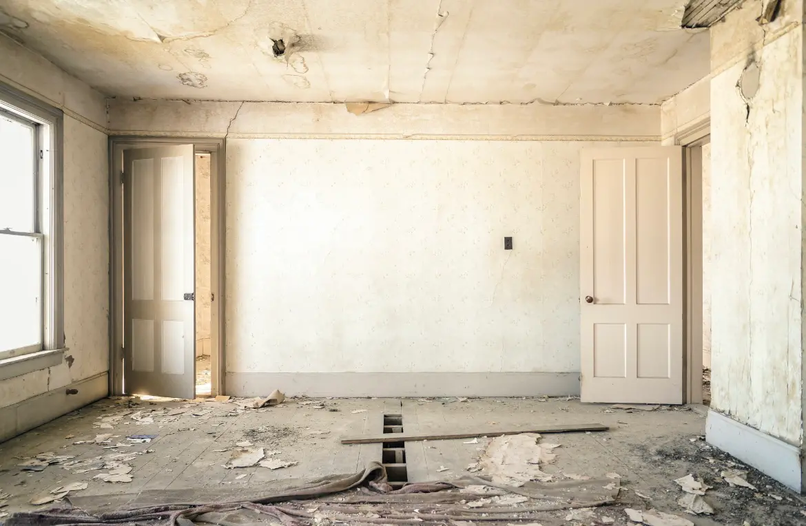 Waste disposal crew managing a cleanout project in Shackle Island